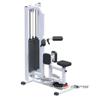 Грузоблочный тренажер Торс машина ARMS AR051